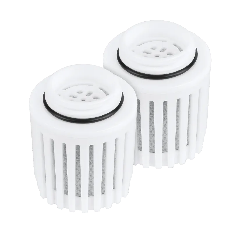 Set 2 Filtre Carbon Activ Teesa Pure Water