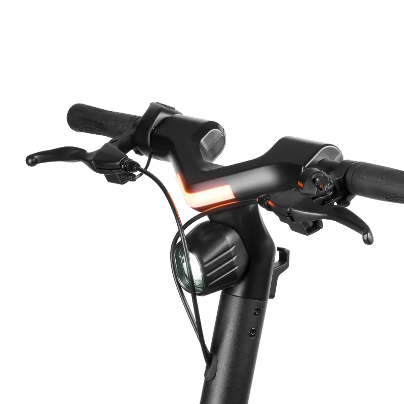 Trotineta Electrica Fast Wheels Max 350W Rebel