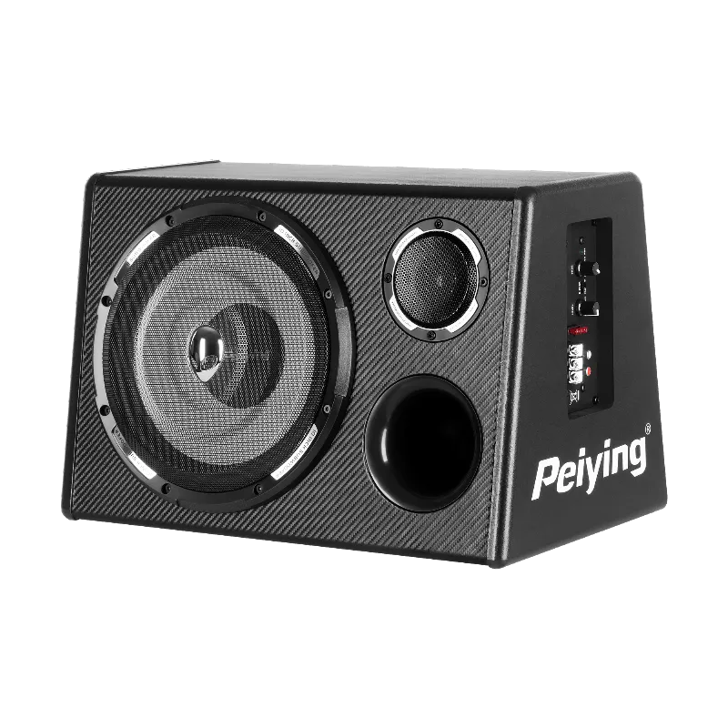 Subwoofer 10 Inch cu Amplificare 200W Max