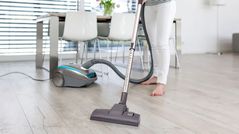 Aspirator cu Sac Eris 750W Clasa Eficienta A Teesa