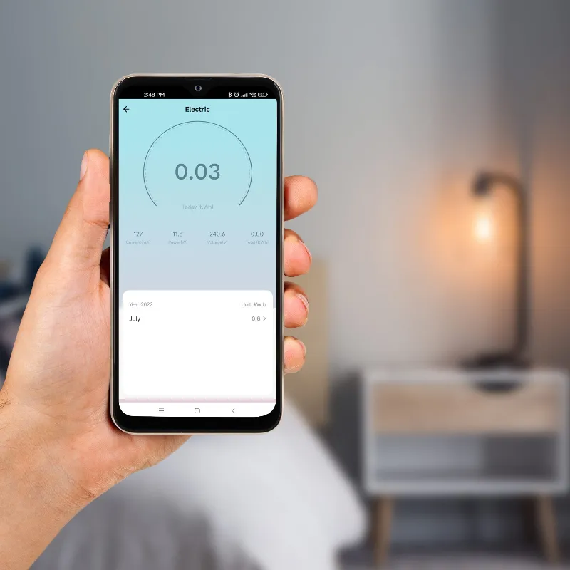 Priza Smart Wifi Connect P4 Tuya Kruger Matz