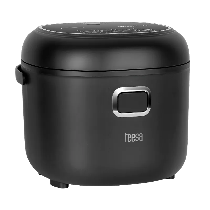 Multicooker / Aparat Gatit Orez 1.5L 12-24V/230V Teesa