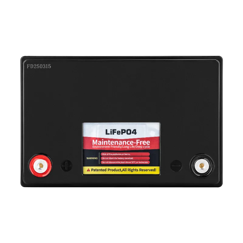 Acumulator LiFePO4 12,8 V 100 Ah cu BMS