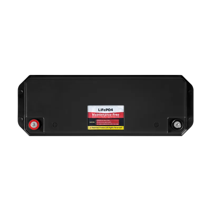 Acumulator LiFePO4 100Ah 25,6V cu BMS