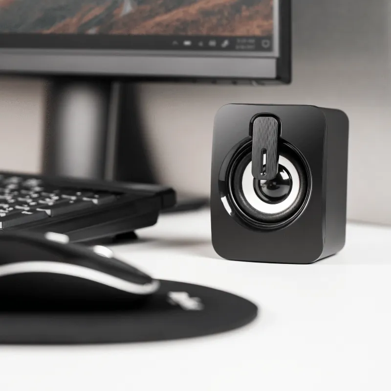 Boxe PC 2.1 Cs-50 Rebel