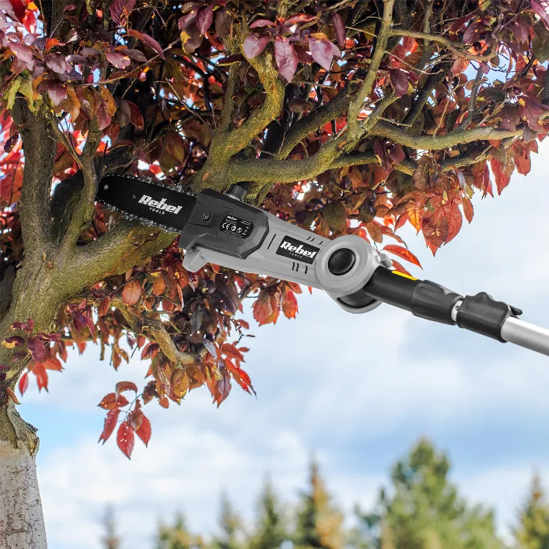 Trimmer Gard Viu Telescopic + Drujba 20V fara Acc Rebel