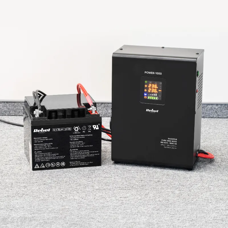 UPS Centrale Termice Sinus Pur 1000VA 700W 12V Rebel