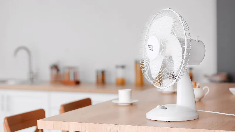 Ventilator Masa 3 Viteze Teesa