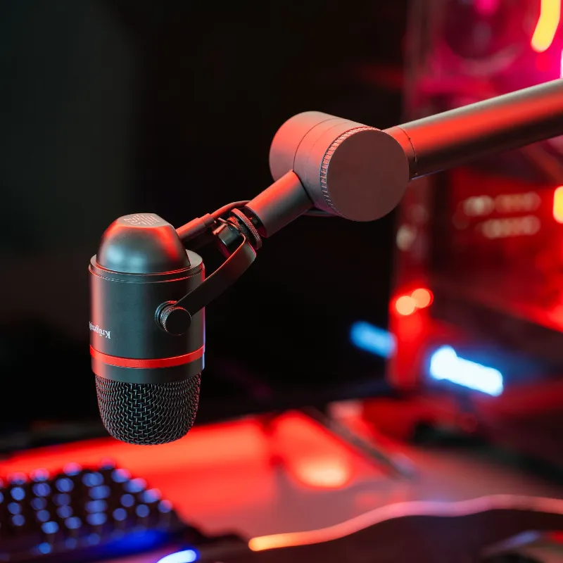 Microfon Gaming / Vlogging Warrior Gv-200 Kruger Matz