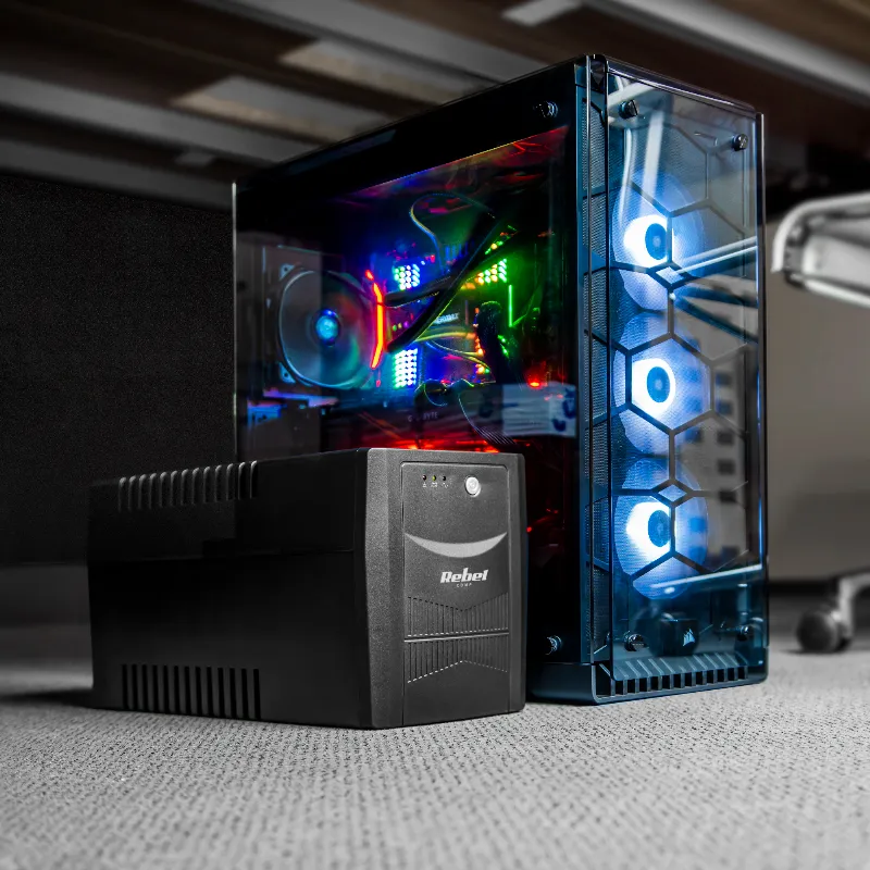 UPS Micropower 1000 (1000VA/600W) Rebel