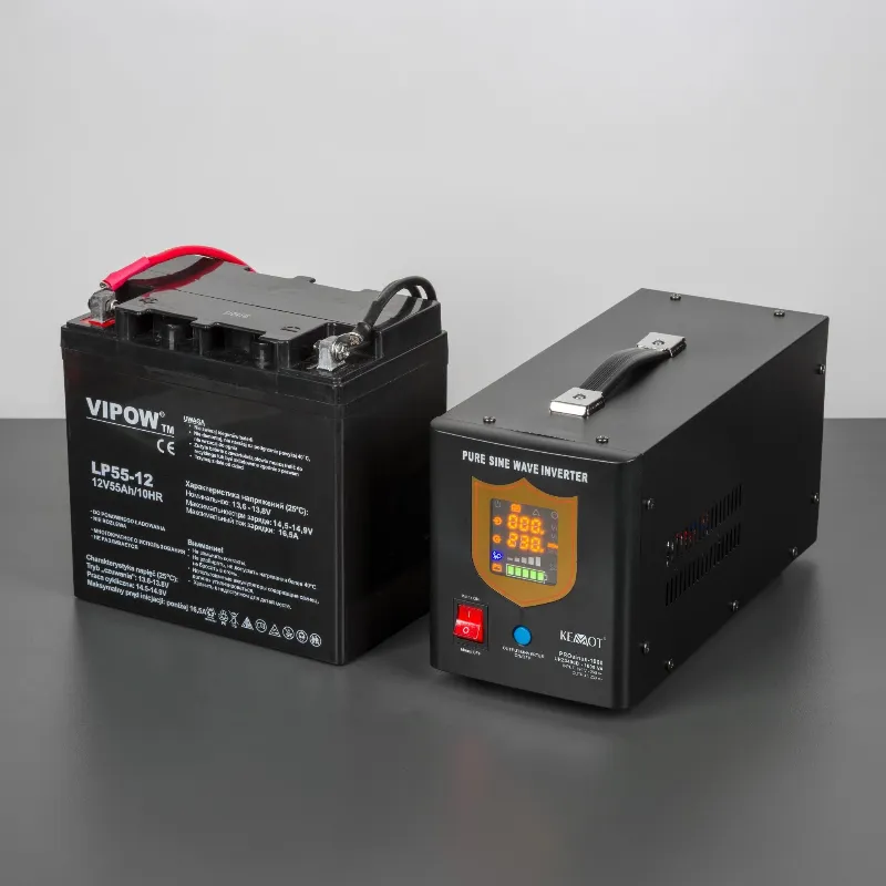 Ups Centrale Termice Sinus Pur 1000VA/700W 12V Kemot