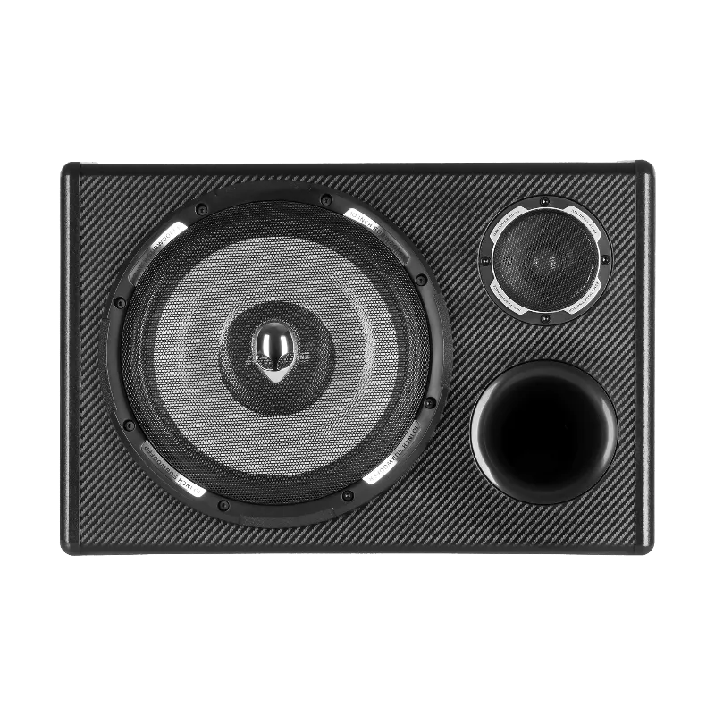 Subwoofer 10 Inch cu Amplificare 200W Max