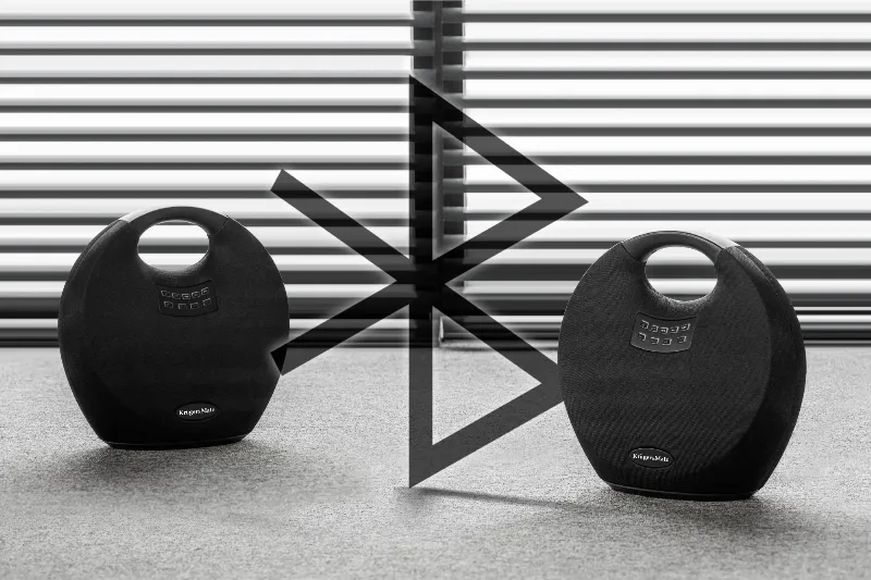 Difuzor Wireless Portabil 36W Spiral Kruger   Matz
